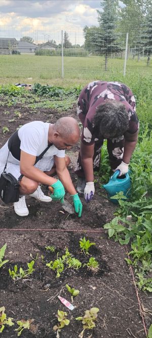 climate change digital learning experiences with senior horizons gardening