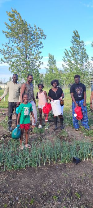 new horizons for seniors gardening volunteers  