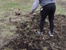 seniors horizons participation in gardening 