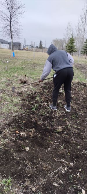 seniors horizons participation in gardening 